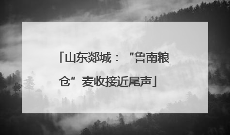 山东郯城：“鲁南粮仓”麦收接近尾声