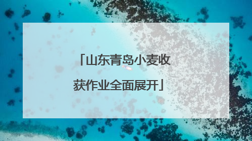 山东青岛小麦收获作业全面展开
