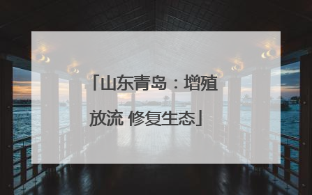 山东青岛：增殖放流 修复生态