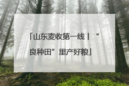 山东麦收第一线丨“良种田”里产好粮