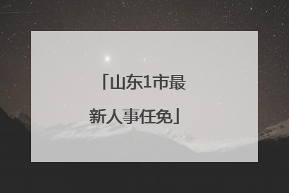 山东1市最新人事任免