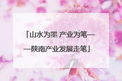 山水为墨 产业为笔——陕南产业发展走笔