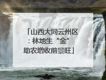山西大同云州区：林地生“金” 助农增收前景旺