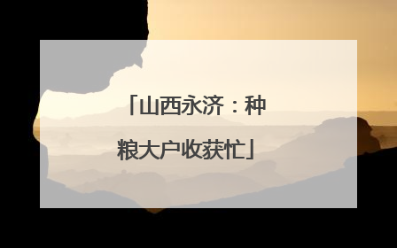山西永济：种粮大户收获忙