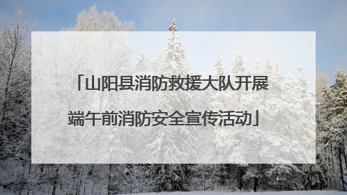 山阳县消防救援大队开展端午前消防安全宣传活动