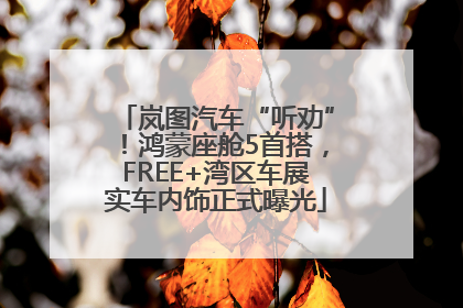 岚图汽车“听劝”！鸿蒙座舱5首搭，FREE+湾区车展实车内饰正式曝光