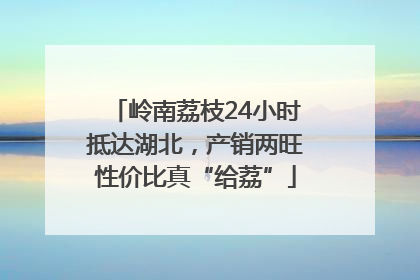 岭南荔枝24小时抵达湖北，产销两旺性价比真“给荔”