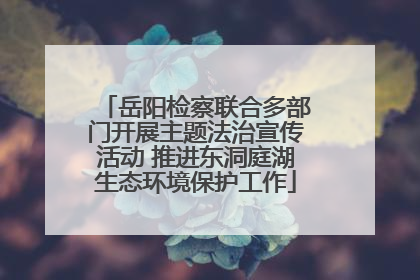 岳阳检察联合多部门开展主题法治宣传活动 推进东洞庭湖生态环境保护工作