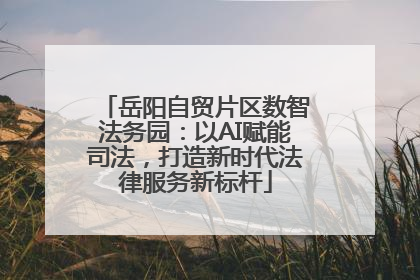 岳阳自贸片区数智法务园：以AI赋能司法，打造新时代法律服务新标杆
