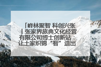 峰林聚智 科创兴张丨张家界旅典文化经营有限公司博士创新站：让土家织锦“智”造出非遗新传奇