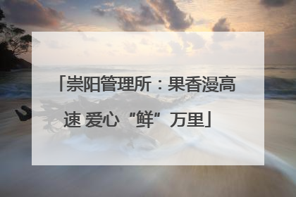 崇阳管理所：果香漫高速 爱心“鲜”万里