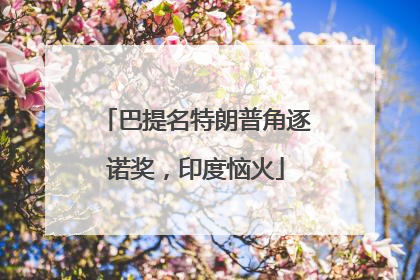 巴提名特朗普角逐诺奖，印度恼火