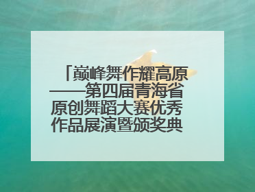 巅峰舞作耀高原——第四届青海省原创舞蹈大赛优秀作品展演暨颁奖典礼璀璨收官