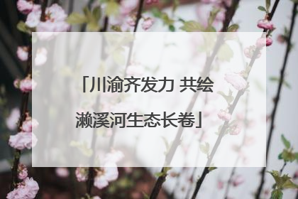 川渝齐发力 共绘濑溪河生态长卷