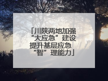 川陕两地加强“大应急”建设 提升基层应急“智”理能力