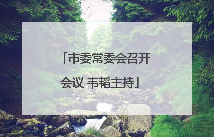 市委常委会召开会议 韦韬主持