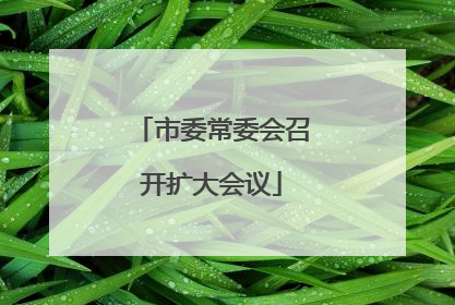市委常委会召开扩大会议