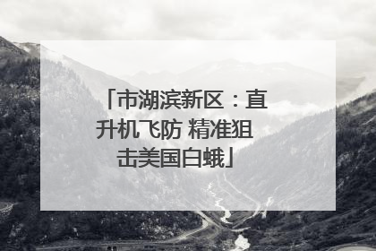 市湖滨新区：直升机飞防 精准狙击美国白蛾