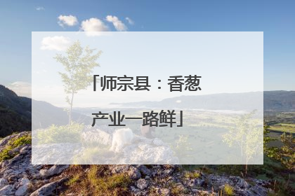 师宗县：香葱产业一路鲜