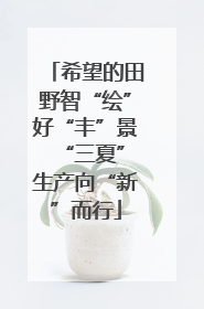 希望的田野智“绘”好“丰”景 “三夏”生产向“新”而行