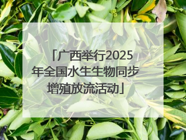 广西举行2025年全国水生生物同步增殖放流活动