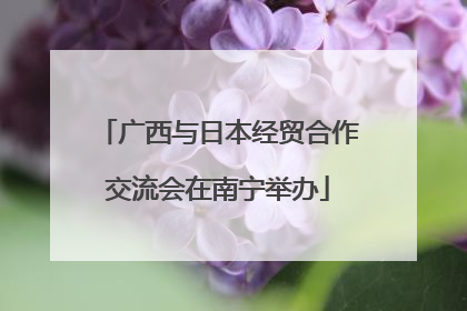 广西与日本经贸合作交流会在南宁举办