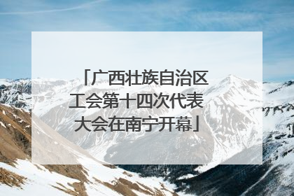 广西壮族自治区工会第十四次代表大会在南宁开幕