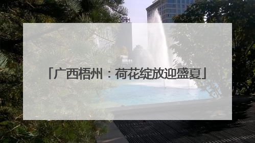 广西梧州：荷花绽放迎盛夏