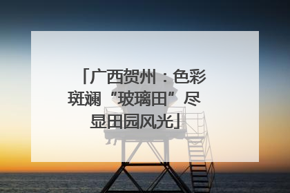 广西贺州：色彩斑斓“玻璃田”尽显田园风光