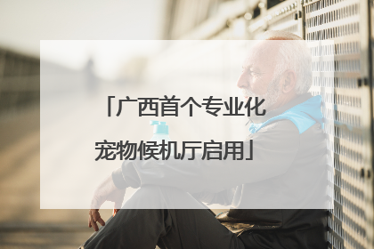 广西首个专业化宠物候机厅启用