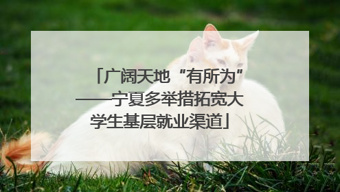 广阔天地“有所为”——宁夏多举措拓宽大学生基层就业渠道