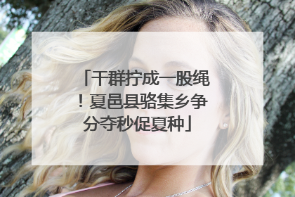 干群拧成一股绳！夏邑县骆集乡争分夺秒促夏种