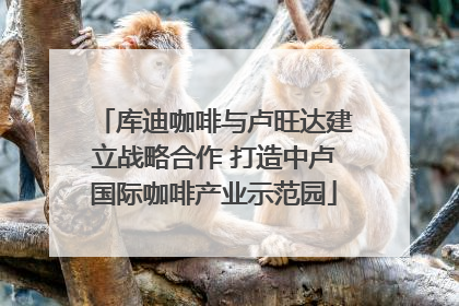 库迪咖啡与卢旺达建立战略合作 打造中卢国际咖啡产业示范园