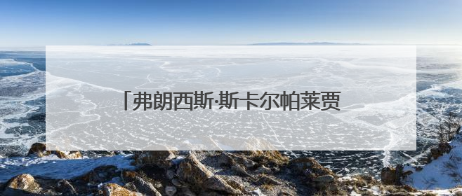 弗朗西斯·斯卡尔帕莱贾当选加拿大众议院议长