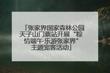 张家界国家森林公园天子山门票站开展“粽情端午·乐游张家界”主题宠客活动