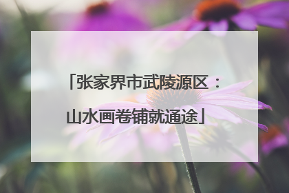 张家界市武陵源区：山水画卷铺就通途