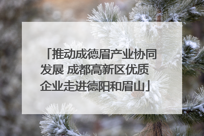 推动成德眉产业协同发展 成都高新区优质企业走进德阳和眉山