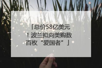 总价58亿美元！波兰拟向美购数百枚“爱国者”