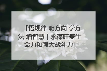 悟规律 明方向 学方法 增智慧｜永葆旺盛生命力和强大战斗力