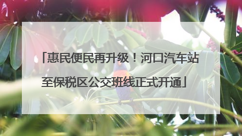 惠民便民再升级！河口汽车站至保税区公交班线正式开通