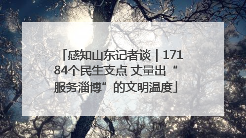 感知山东记者谈｜17184个民生支点 丈量出“服务淄博”的文明温度