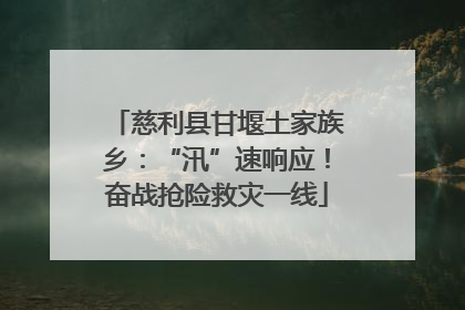 慈利县甘堰土家族乡：“汛”速响应！奋战抢险救灾一线