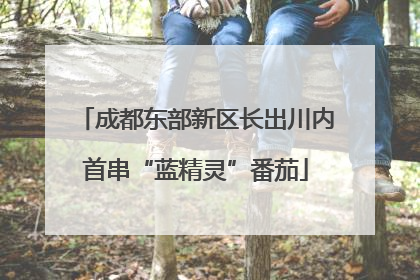 成都东部新区长出川内首串“蓝精灵”番茄