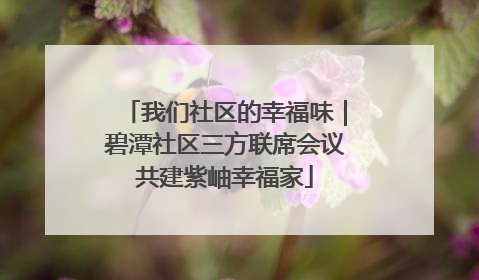 我们社区的幸福味｜碧潭社区三方联席会议共建紫岫幸福家
