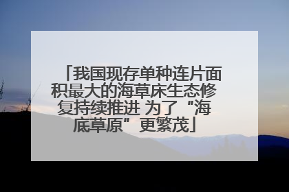 我国现存单种连片面积最大的海草床生态修复持续推进 为了“海底草原”更繁茂