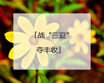 战“三夏” 夺丰收