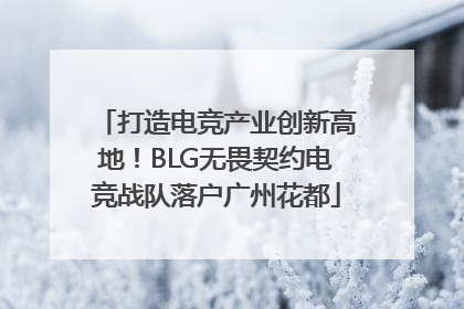 打造电竞产业创新高地！BLG无畏契约电竞战队落户广州花都