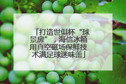 打造世俱杯“球景房”，海信冰箱用真空磁场保鲜技术满足球迷味蕾