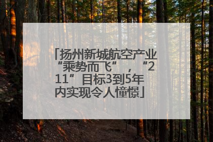 扬州新城航空产业“乘势而飞”，“211”目标3到5年内实现令人憧憬