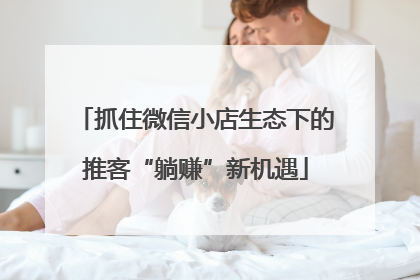 抓住微信小店生态下的推客“躺赚”新机遇